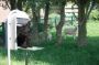 Afbeelding - https-www-ez-catalog-nl-Asset-ceec728e4a6148eda85de44ac9db8e7a-ImageFullSize-grande-live-015-jpg